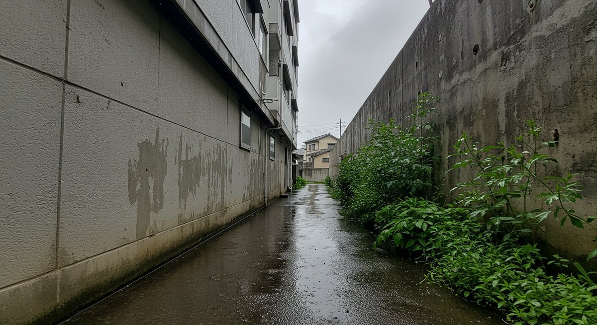 半 地下 やめ た ほう が いい