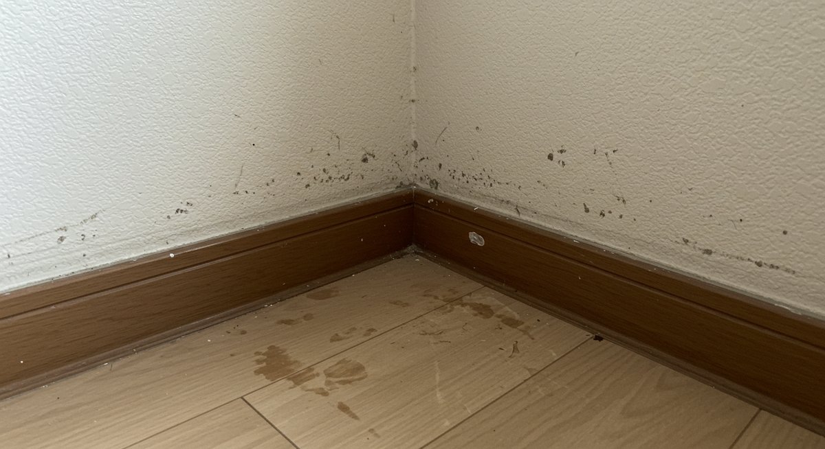 退去 費用 100 万 円 ペット