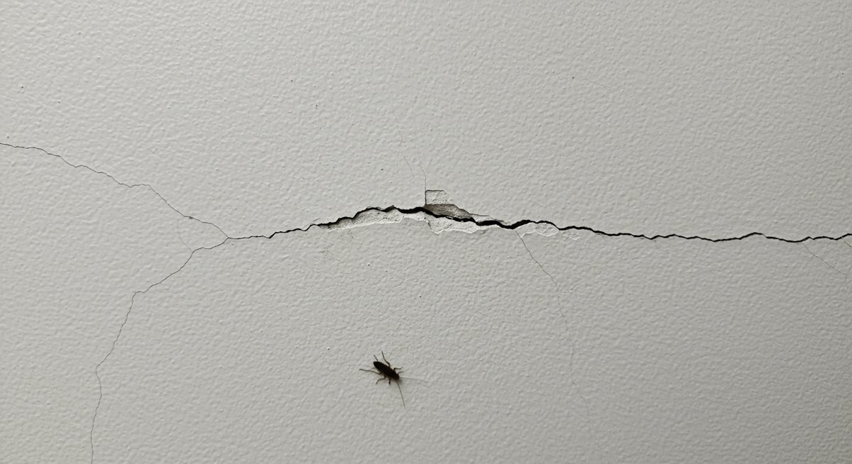 リノベーション 賃貸 ゴキブリ